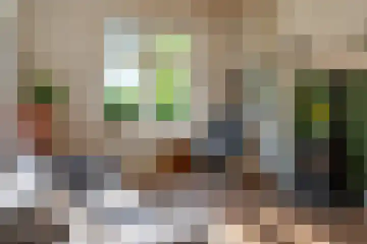 Heisterboomsdijk 12 Halle thumbnail 20