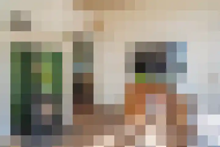 Heisterboomsdijk 12 Halle thumbnail 23
