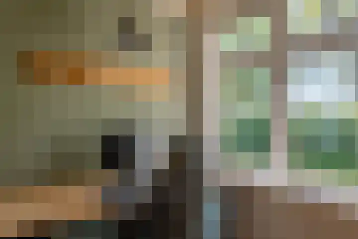 Heisterboomsdijk 12 Halle thumbnail 29