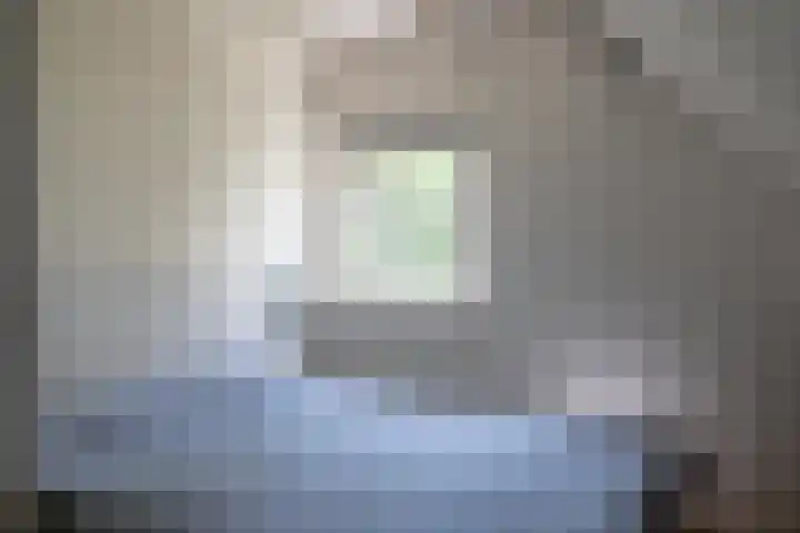 Heisterboomsdijk 12 Halle thumbnail 31