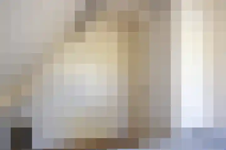 Heisterboomsdijk 12 Halle thumbnail 32