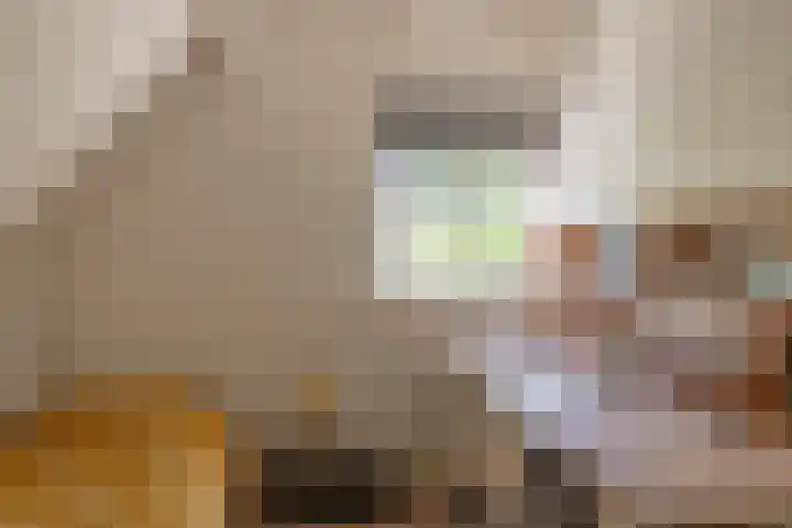 Heisterboomsdijk 12 Halle thumbnail 34
