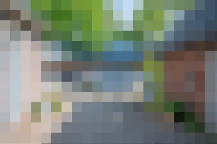 Heisterboomsdijk 12 Halle thumbnail 36