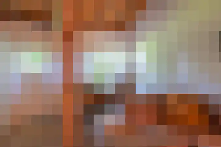 Heisterboomsdijk 12 Halle thumbnail 39