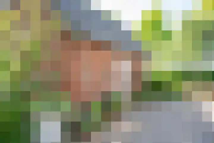 Heisterboomsdijk 12 Halle thumbnail 43