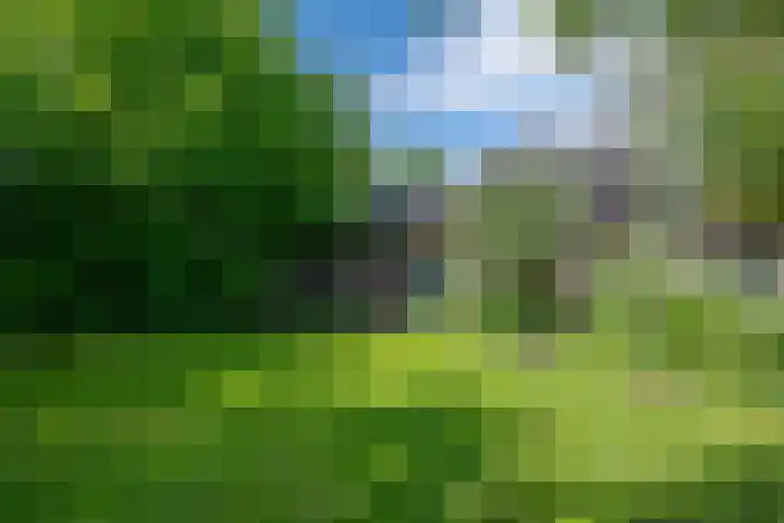 Heisterboomsdijk 12 Halle thumbnail 44