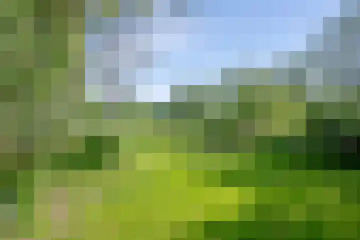 Heisterboomsdijk 12 Halle thumbnail 45