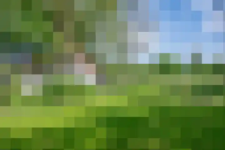Heisterboomsdijk 12 Halle thumbnail 46