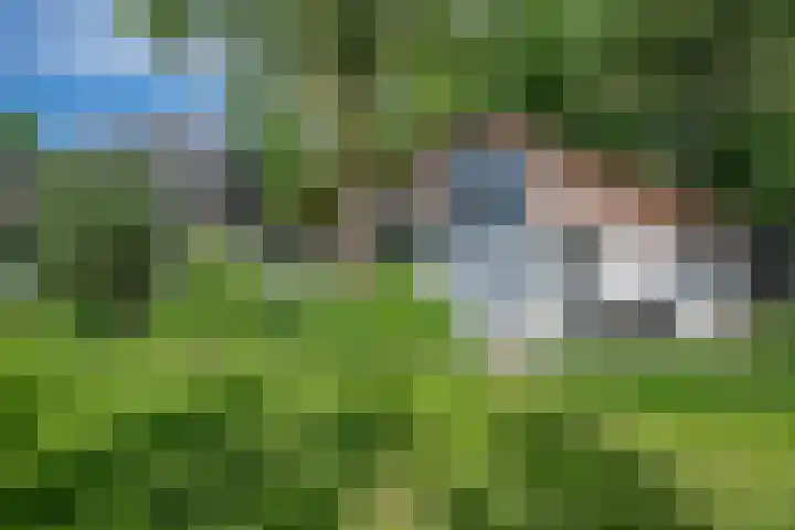 Heisterboomsdijk 12 Halle thumbnail 47