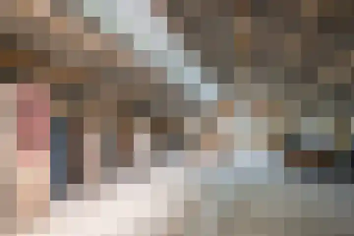 Heisterboomsdijk 12 Halle thumbnail 48