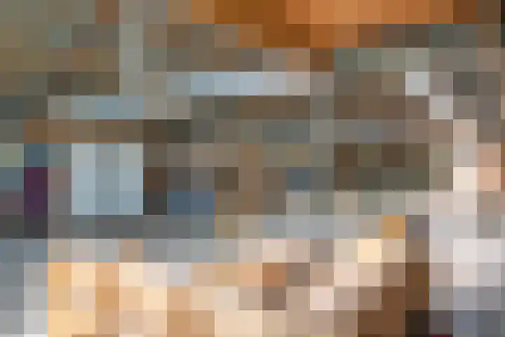 Heisterboomsdijk 12 Halle thumbnail 51