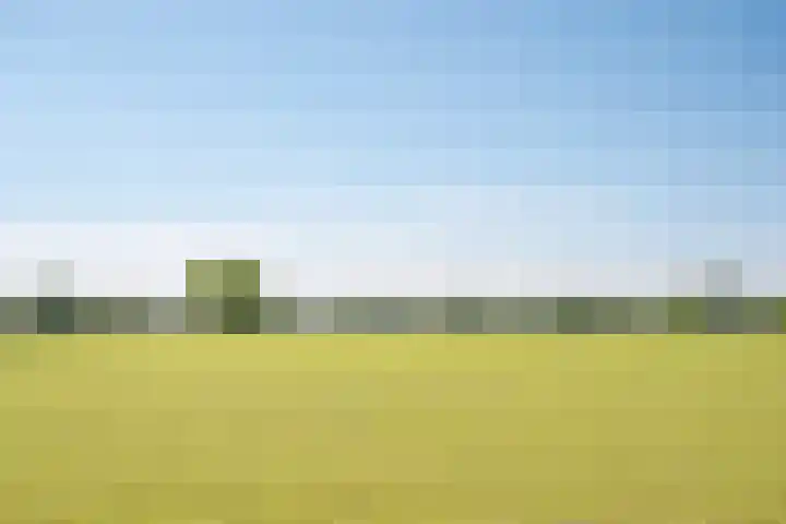Heisterboomsdijk 12 Halle thumbnail 52