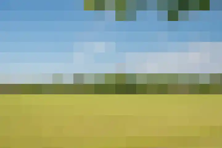 Heisterboomsdijk 12 Halle thumbnail 53