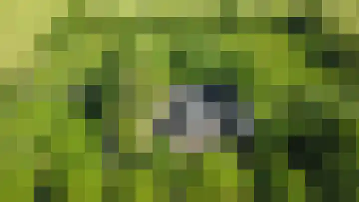 Heisterboomsdijk 12 Halle thumbnail 62