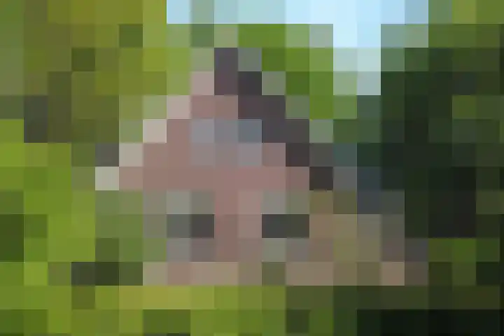Heisterboomsdijk 12 Halle thumbnail 7