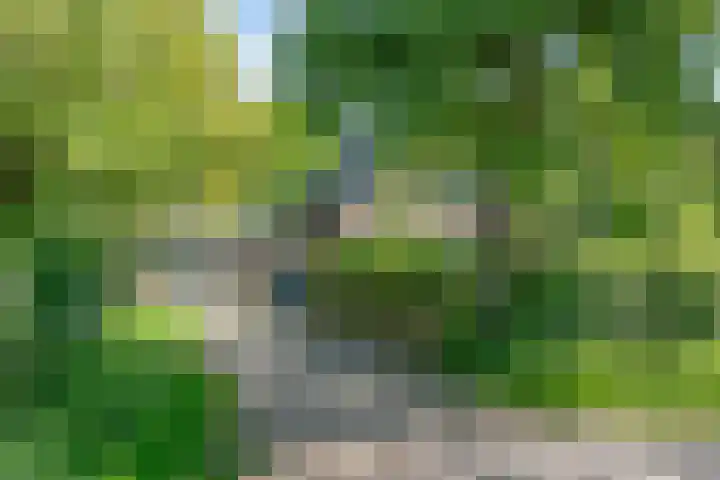 Heisterboomsdijk 12 Halle thumbnail 8