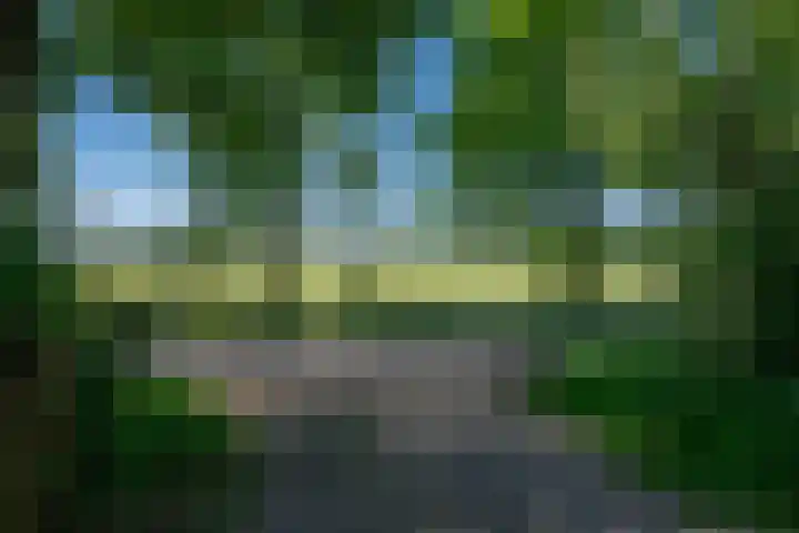 Heisterboomsdijk 12 Halle thumbnail 9