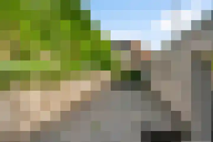 Heisterbrug 6 Schinnen thumbnail 22