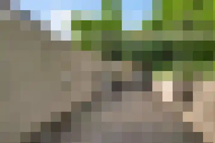 Heisterbrug 6 Schinnen thumbnail 23