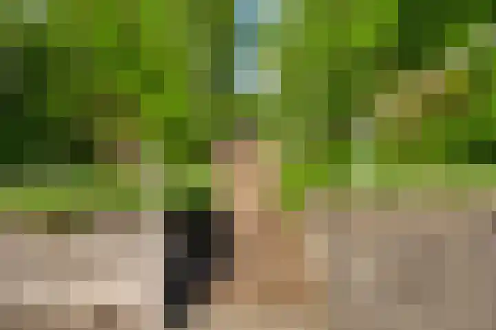 Heisterbrug 6 Schinnen thumbnail 24