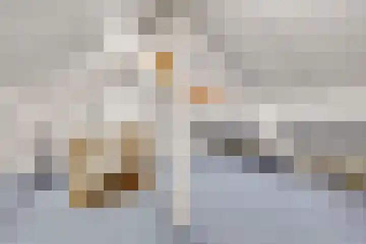 Heisterbrug 6 Schinnen thumbnail 35