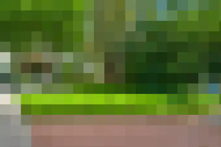 Heisterbrug 6 Schinnen thumbnail 37