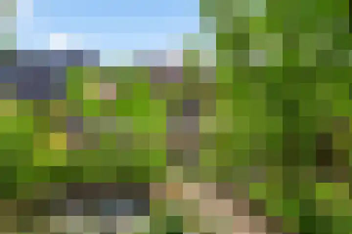 Heisterbrug 6 Schinnen thumbnail 4