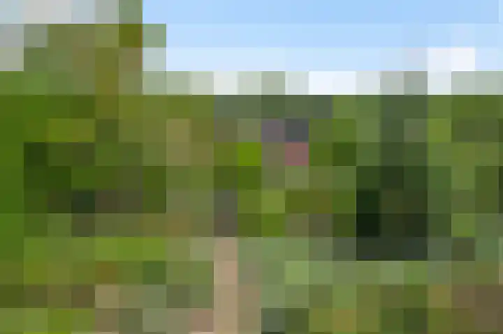 Heisterbrug 6 Schinnen thumbnail 5