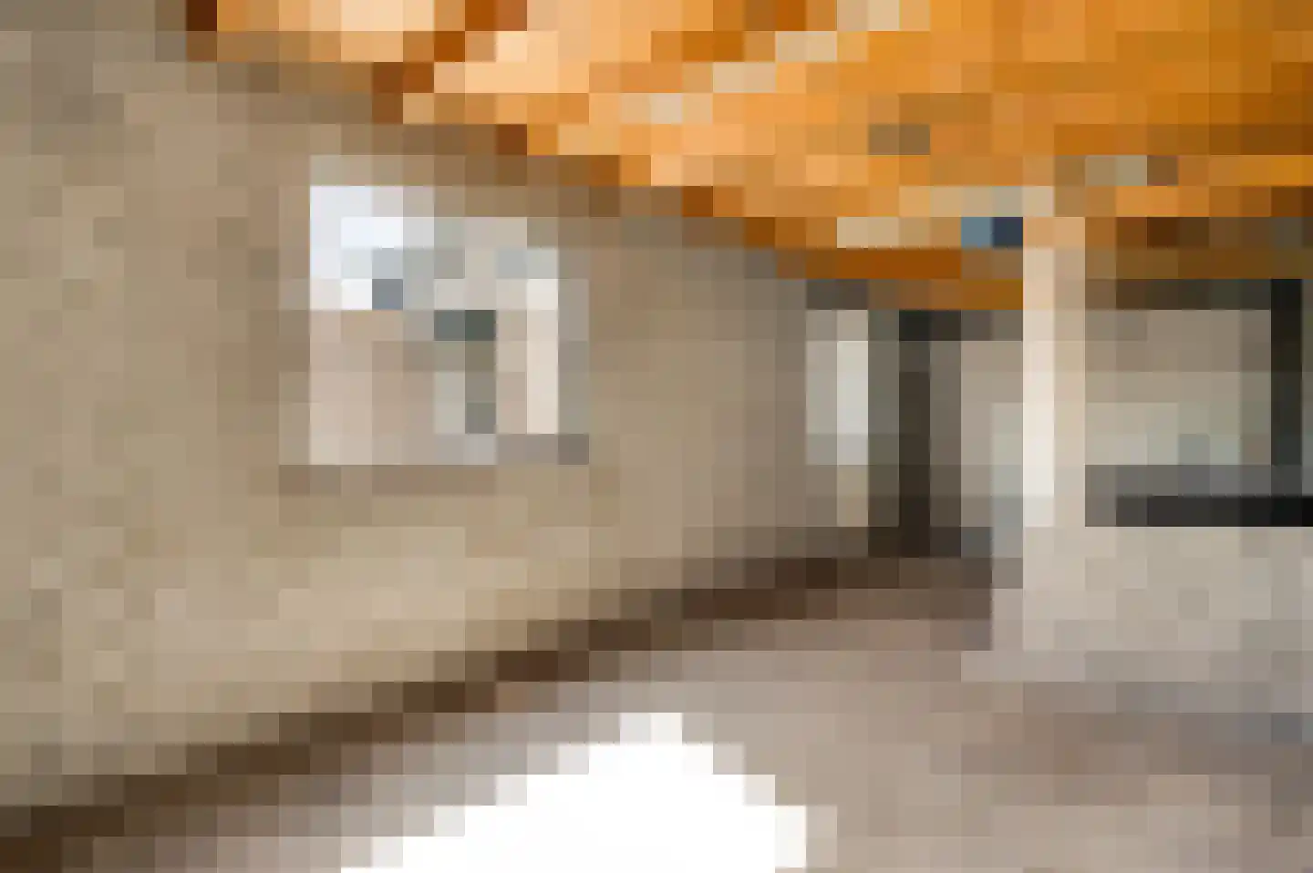 Heistershof 46 Montfort thumbnail 15