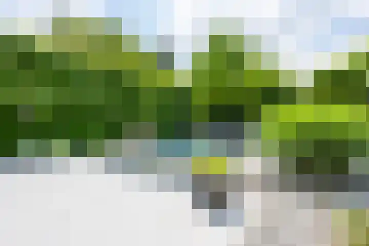 Heistraat 10 A Landgraaf thumbnail 47