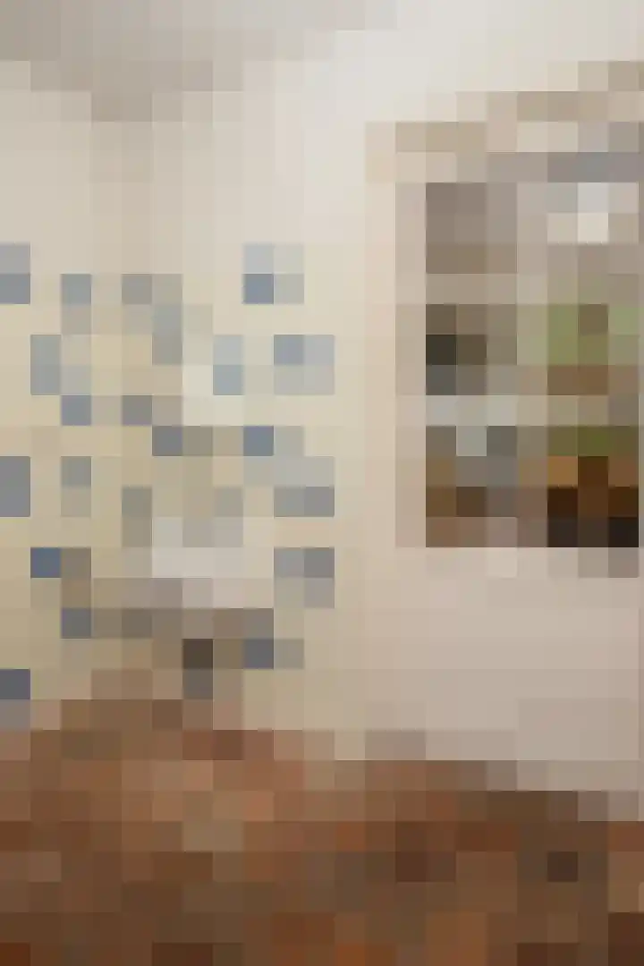 Heistraat 10 Casteren thumbnail 19