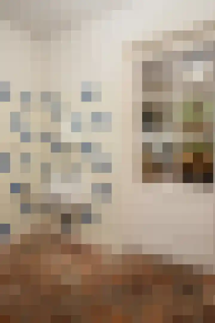 Heistraat 10 Casteren thumbnail 19