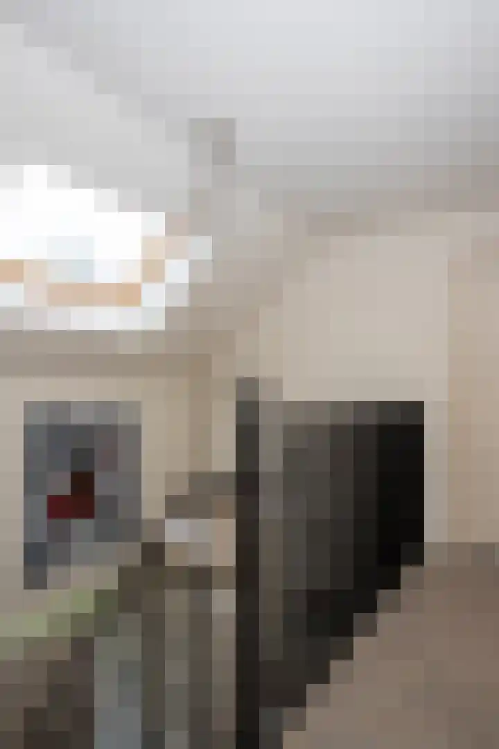 Heistraat 10 Casteren thumbnail 30