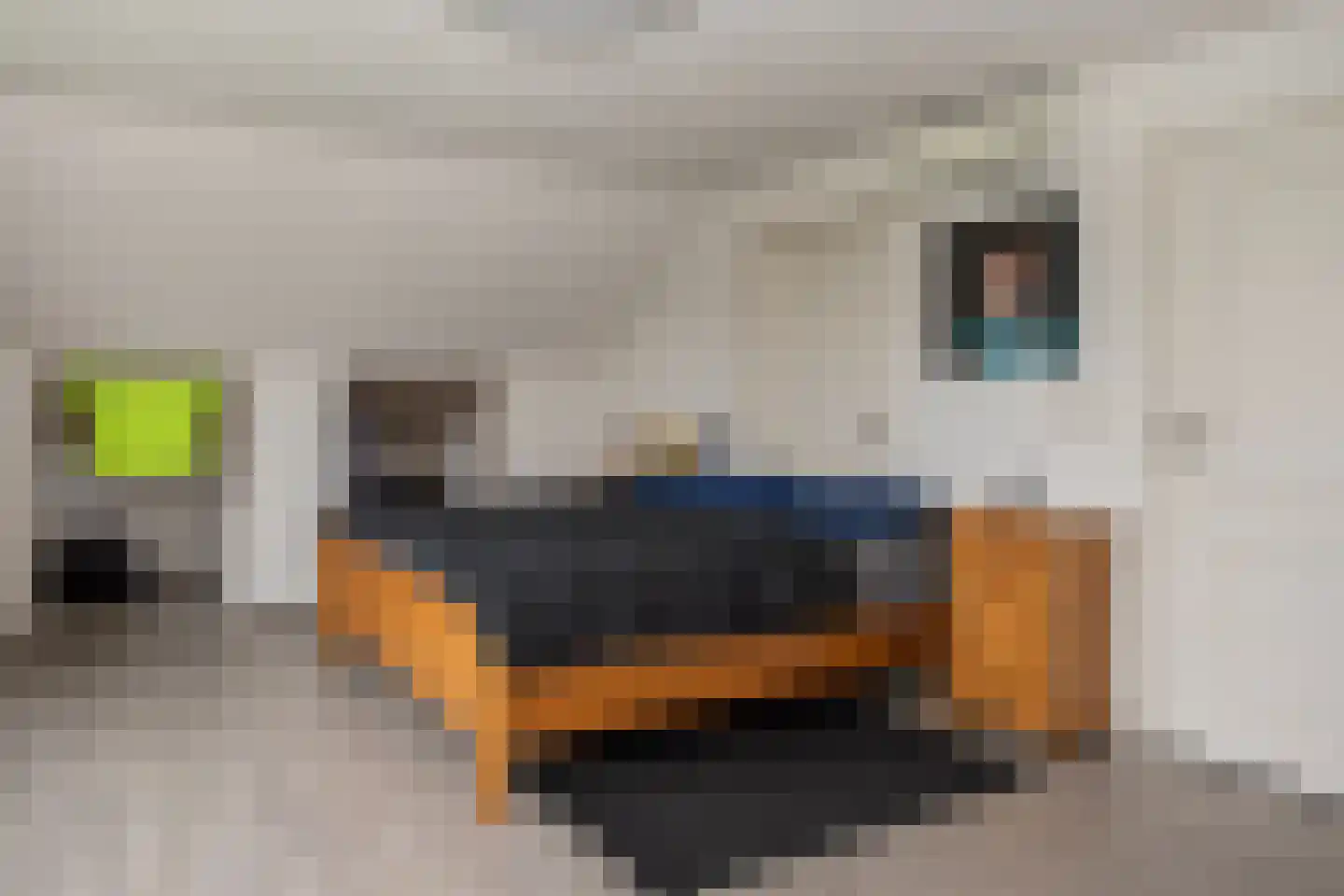 Heistraat 10 Casteren thumbnail 33