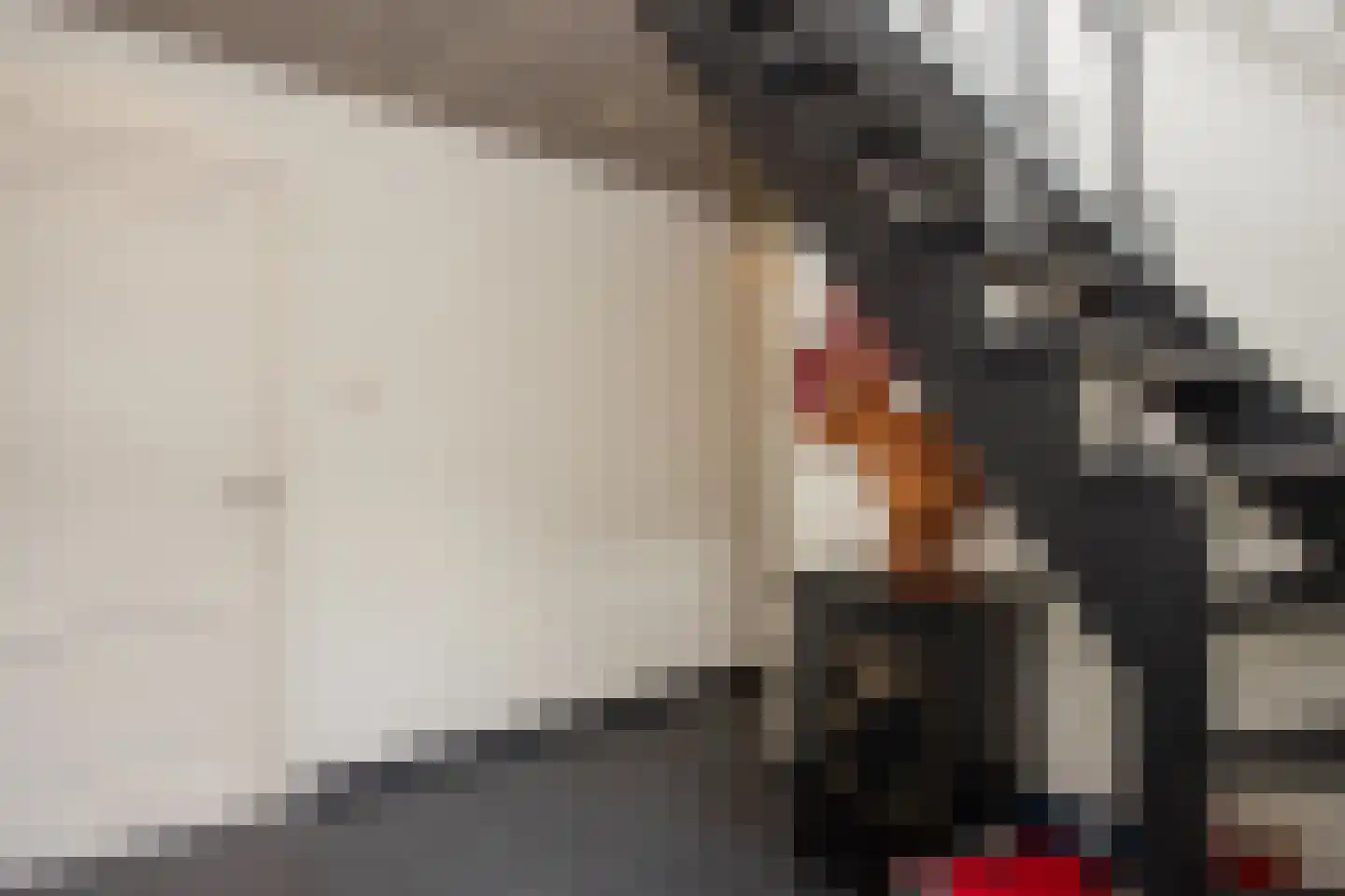 Heistraat 10 Casteren thumbnail 9