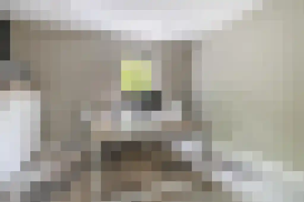 Heistraat 126 Sprang-Capelle thumbnail 18
