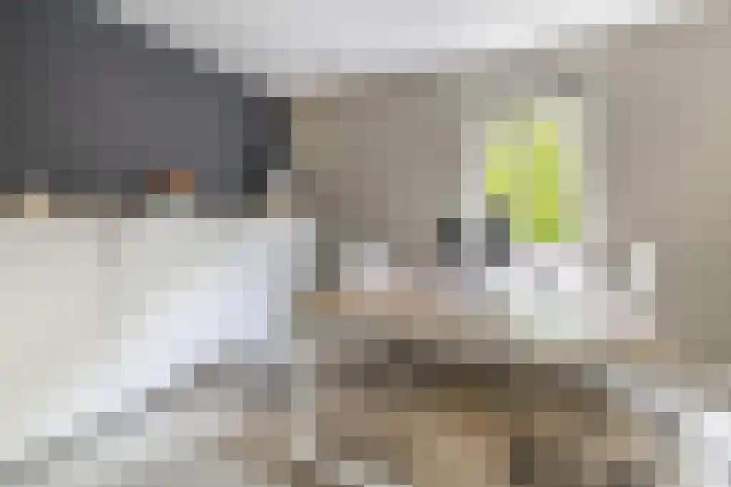 Heistraat 126 Sprang-Capelle thumbnail 19