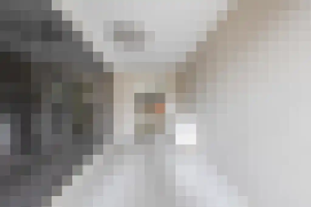Heistraat 126 Sprang-Capelle thumbnail 21