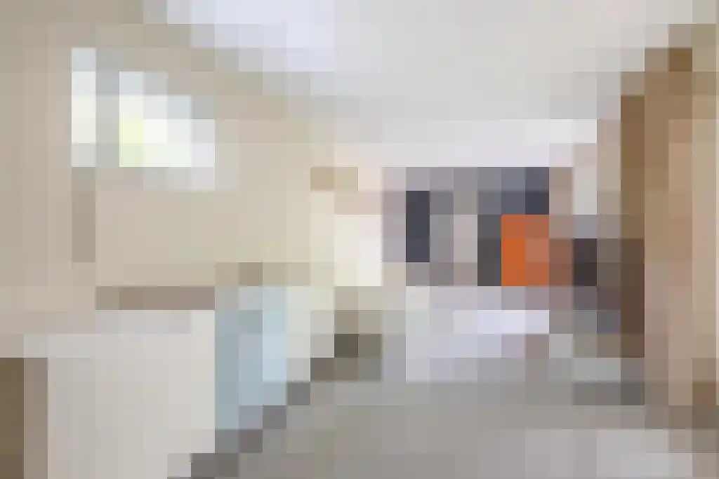 Heistraat 126 Sprang-Capelle thumbnail 22