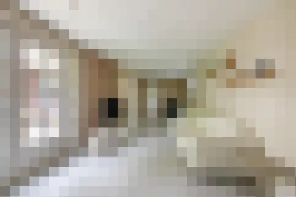 Heistraat 126 Sprang-Capelle thumbnail 23