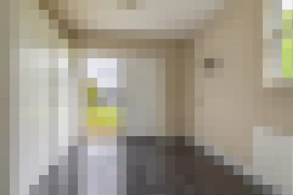 Heistraat 126 Sprang-Capelle thumbnail 24