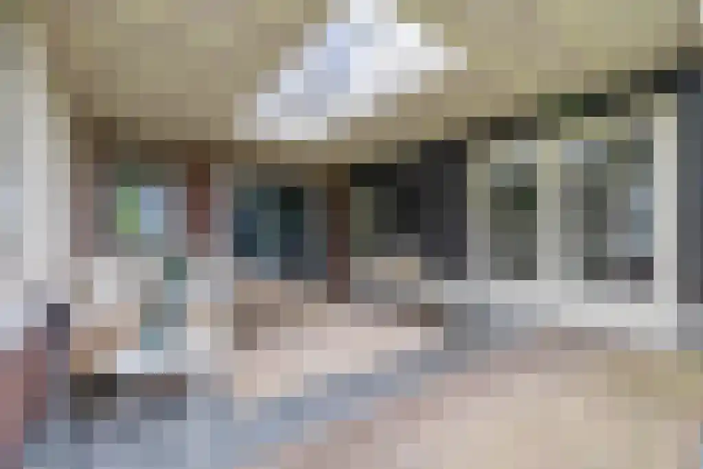 Heistraat 126 Sprang-Capelle thumbnail 26