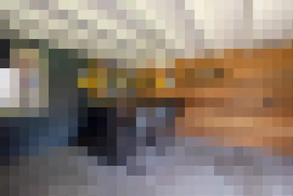 Heistraat 126 Sprang-Capelle thumbnail 35