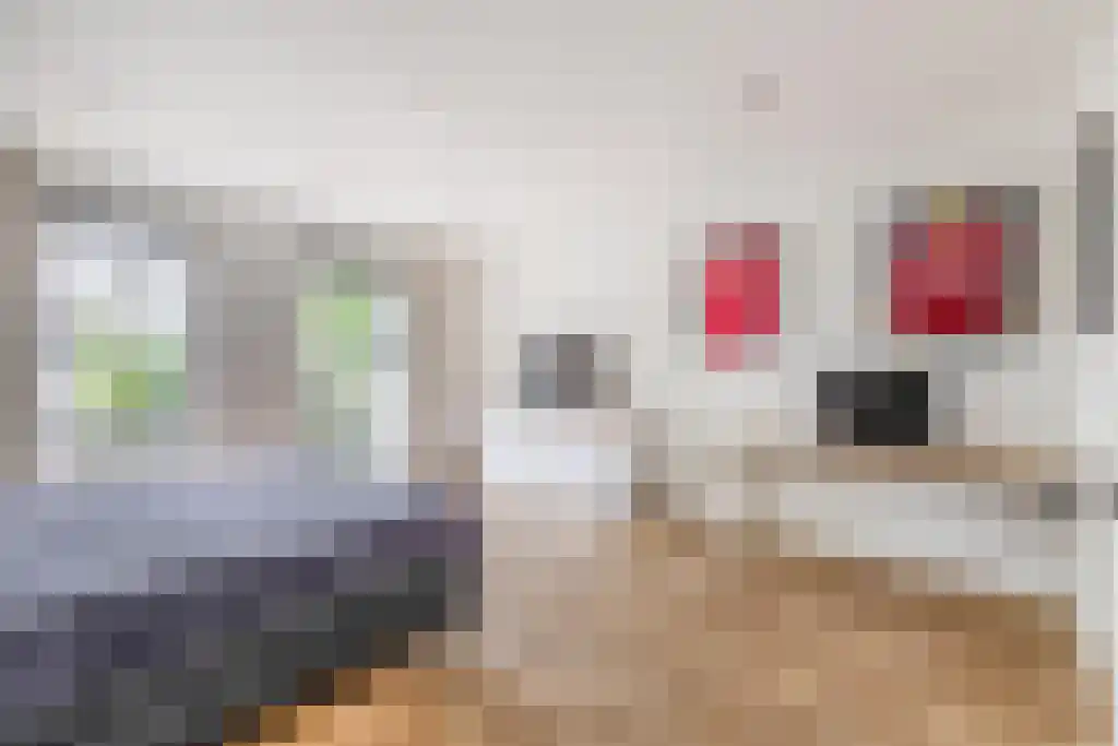 Heistraat 126 Sprang-Capelle thumbnail 40