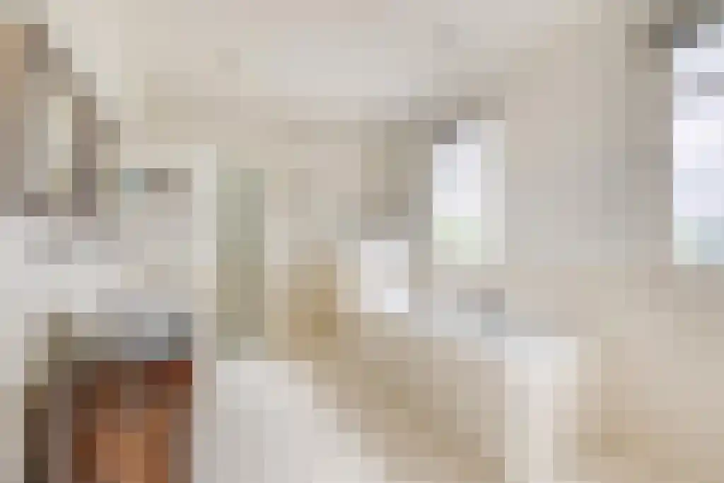 Heistraat 126 Sprang-Capelle thumbnail 42