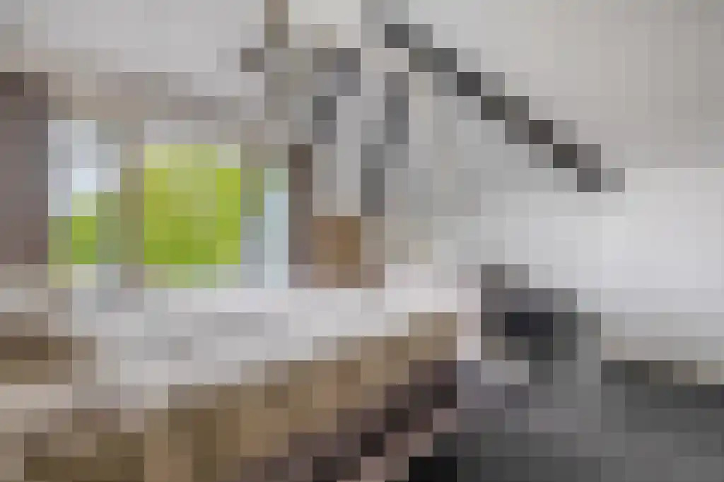 Heistraat 126 Sprang-Capelle thumbnail 52