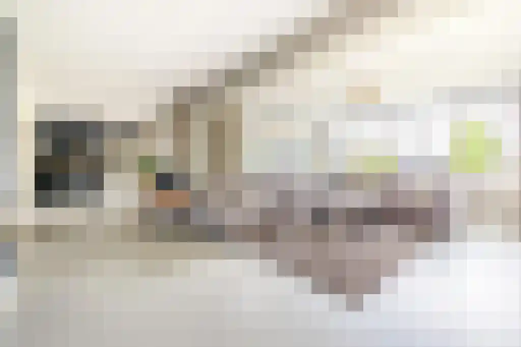 Heistraat 126 Sprang-Capelle thumbnail 9