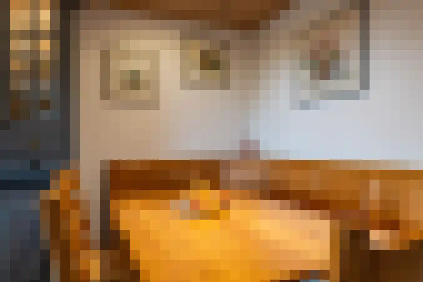Heistraat 127 Sprang-Capelle thumbnail 19