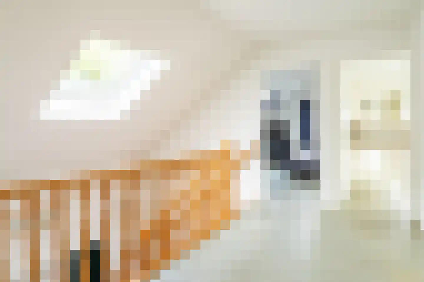 Heistraat 127 Sprang-Capelle thumbnail 20