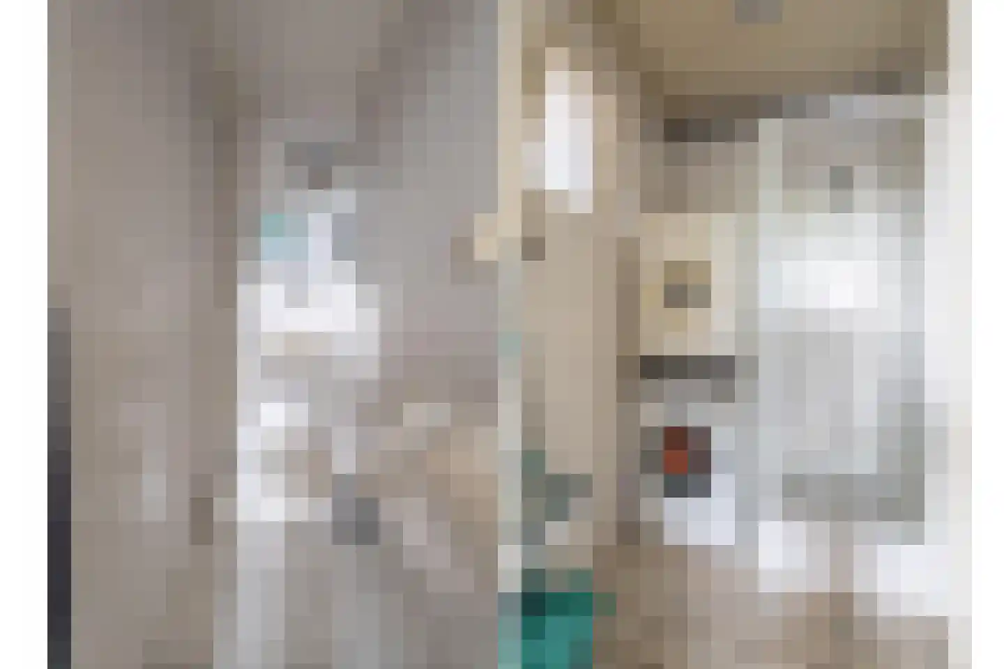 Heistraat 127 Sprang-Capelle thumbnail 30